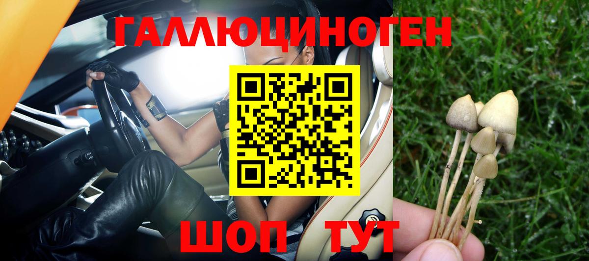 Галлюциногенные грибы мухоморы Великие Луки